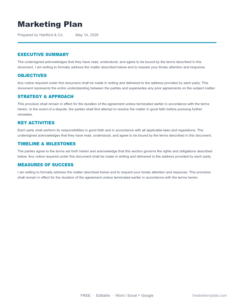 Marketing Plan preview