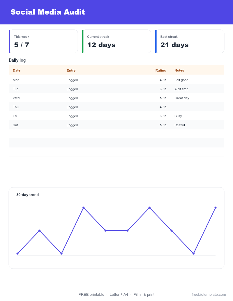 Social Media Audit preview